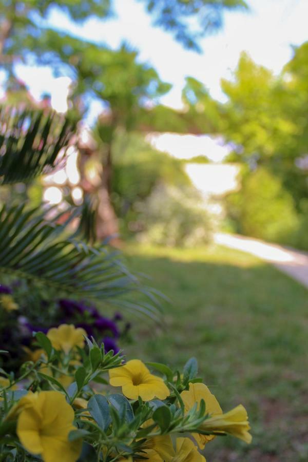 Apartments Hrabar Trogir Eksteriør bilde